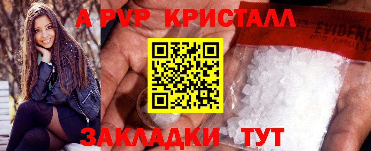 Альфа ПВП СК КРИС Салехард