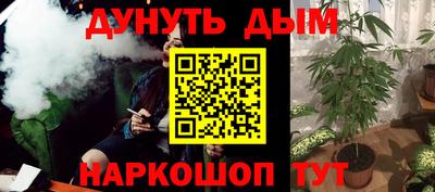 spice Дубна