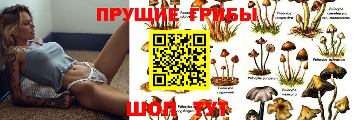 Псилоцибиновые грибы мицелий Салехард